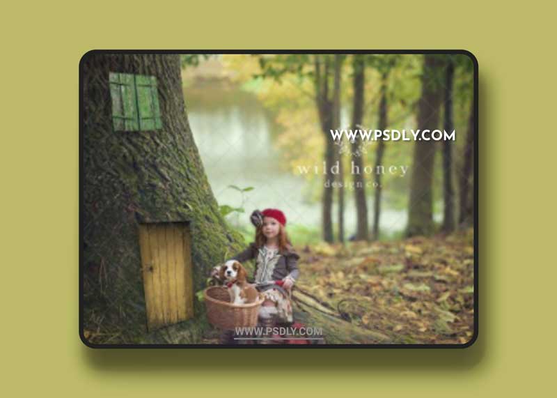 CreativeMarket - Fairy Door Digital Backdrop 4965734