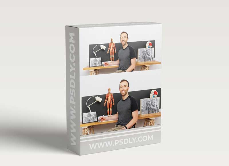 Domestika - Basic Principles of Drawing People from Imagination