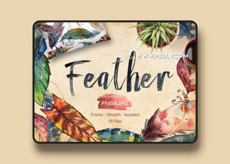 Feather bird PNG watercolor set
