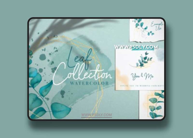 Leaf & Watercolor collection