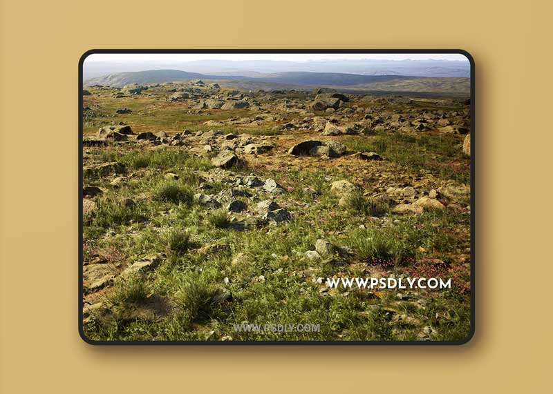 MW Meadow Wetlands Landscape
