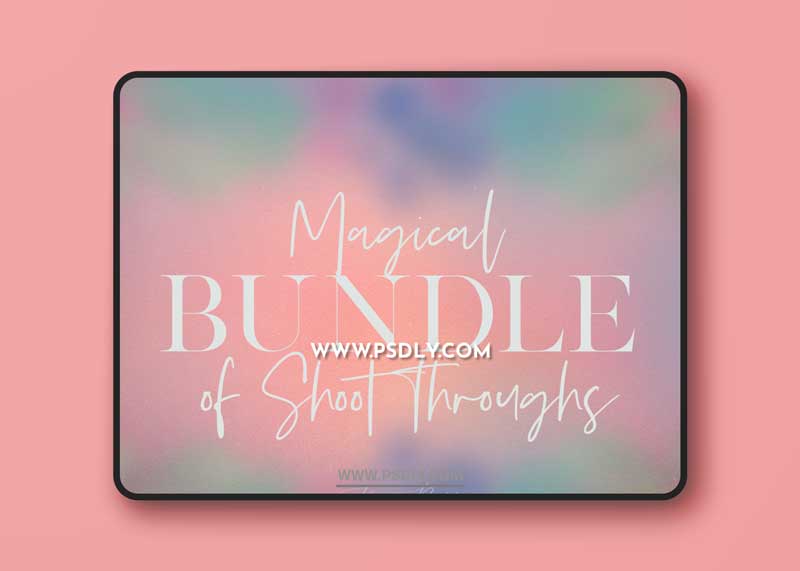 Meg Bitton - Magical Bundle of Shoot Throughs