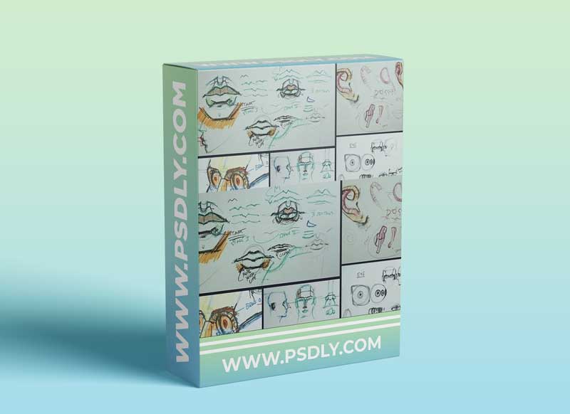 Portrait Drawing Course; Learn Beginner Head Drawing Techniques