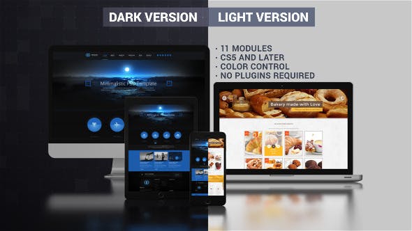 Videohive Website Presentation (Dark & Light) 9725975