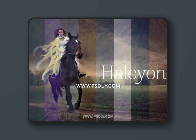 Seasalt & Co. - Halcyon Collection