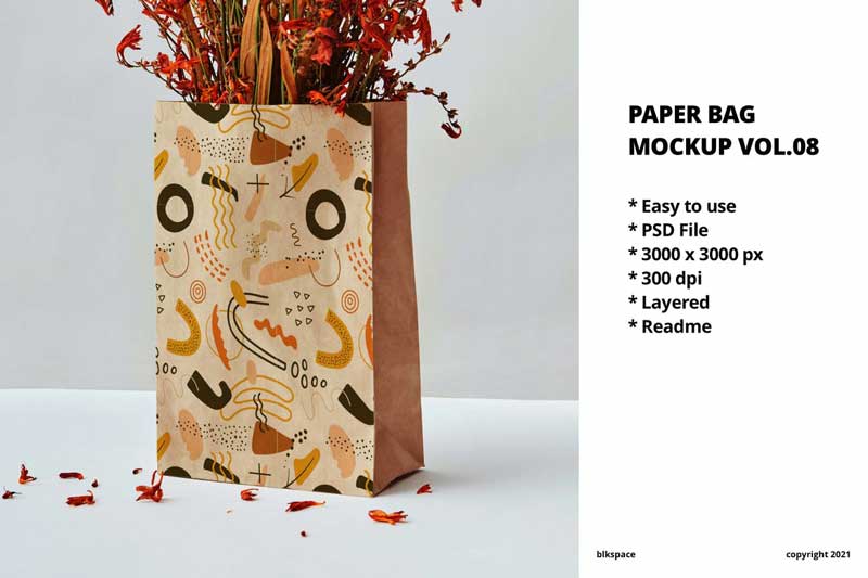 Paper Bag Mockup Vol.08 DR7SMWB