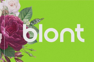 CM - Blont | Modern & Clean Logo Font 6259854