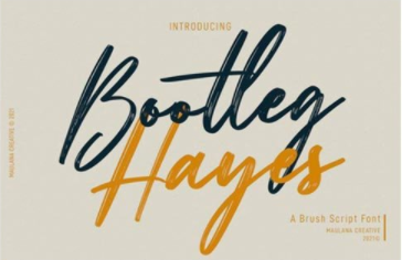 Bootleg Hayes Font
