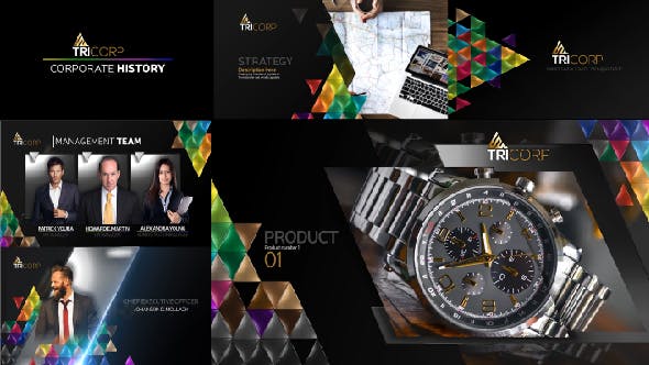 Videohive 3D Triangle Concept Corporate Profile 21482481
