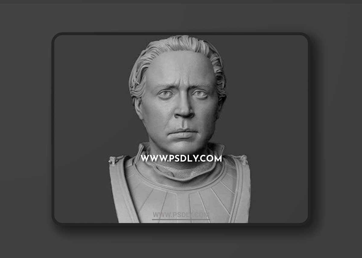 Brienne of Tarth Bust 3D Models