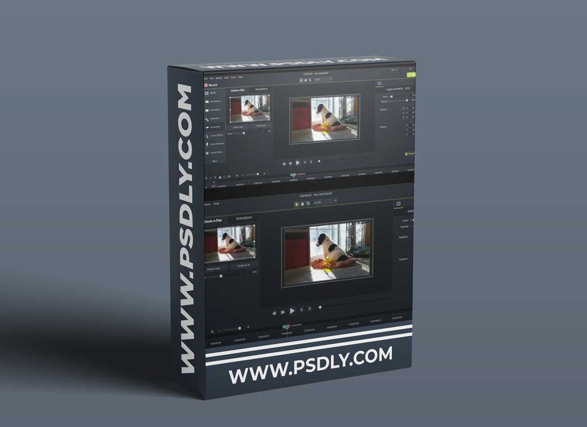 Camtasia Mastery - Editing Videos with Camtasia