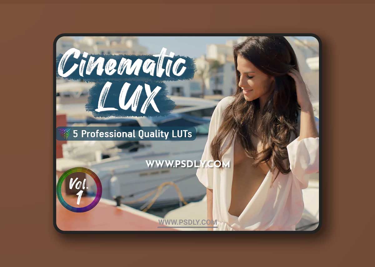 CreativeMarket - Cinematic LUX - 5 video LUTs 6422000