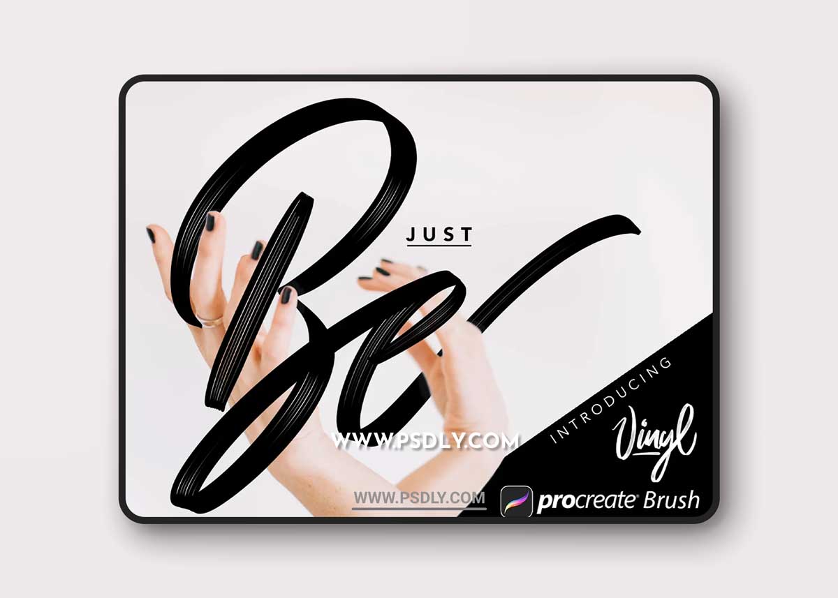 CreativeMarket - Vinyl Procreate Brush 2768357