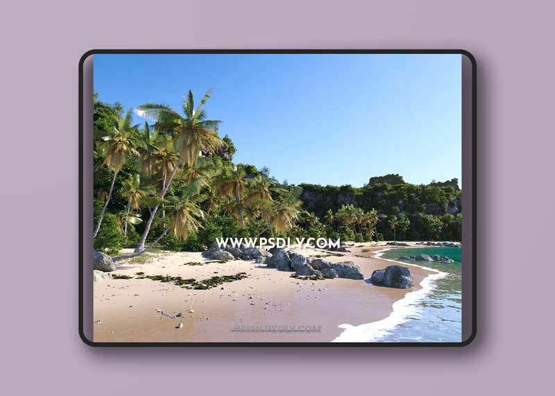 Daria Coastal Pack - Nouvelle Mesure Lab