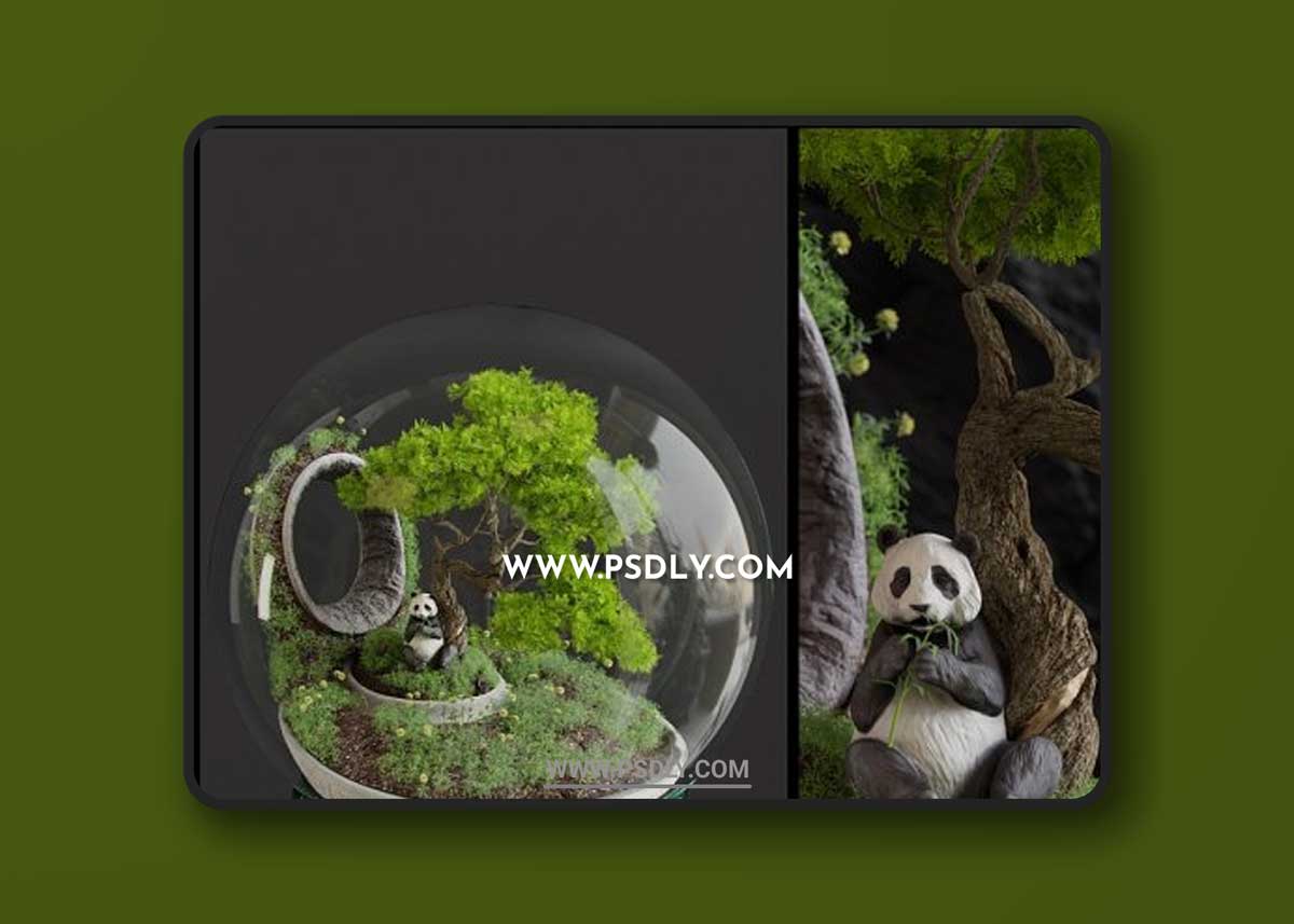Florarium Bonsai 3D ModelsFlorarium Bonsai 3D Models