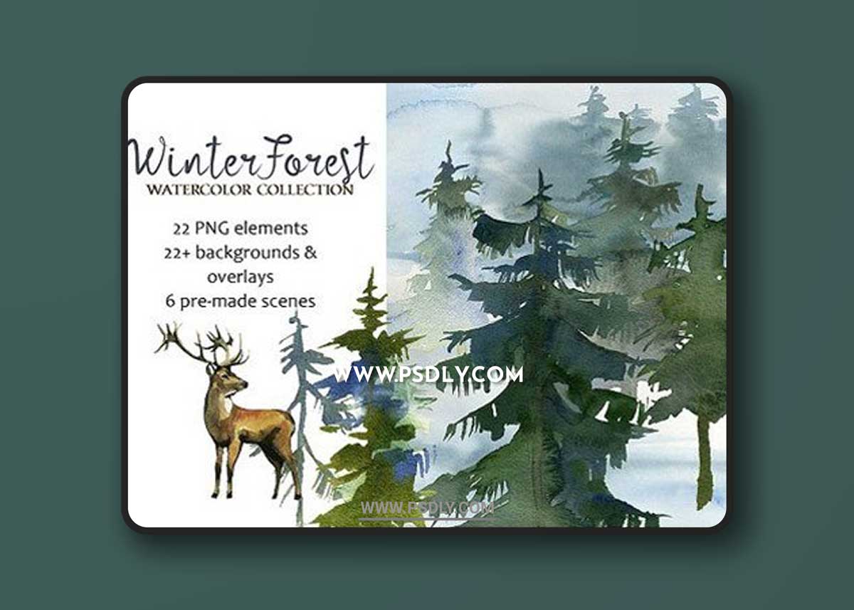 Forest Fir Trees Watercolor Clipart