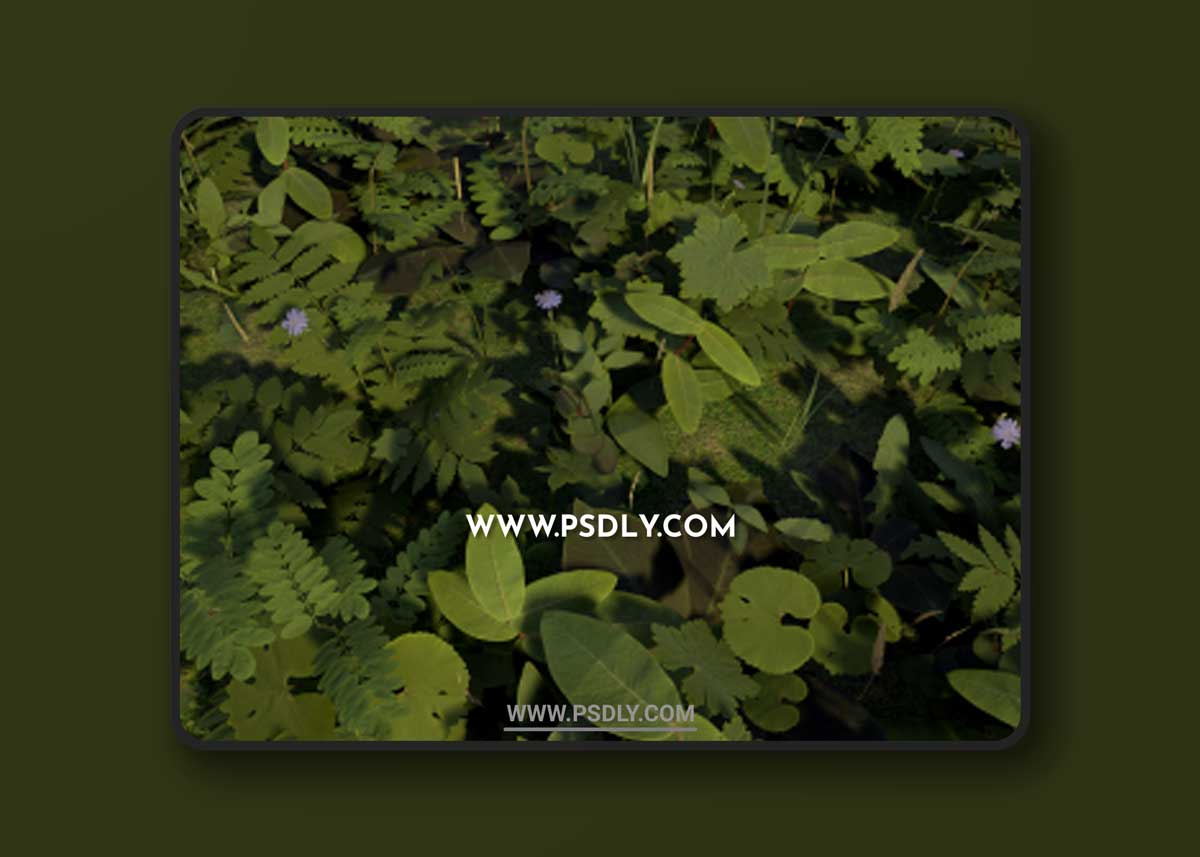 Ontario PBR Plant Pack 3D Models