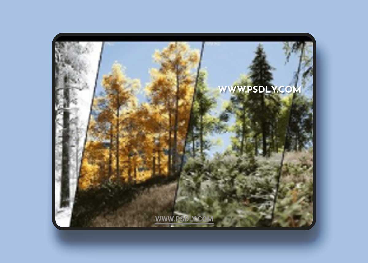 PLE - Procedural Landscape Ecosystem 4.27