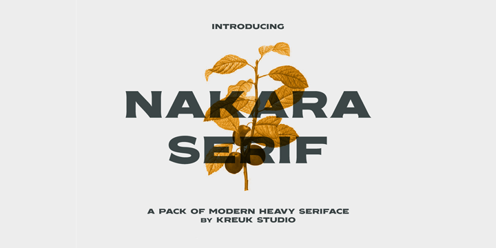 Nakara Font Family