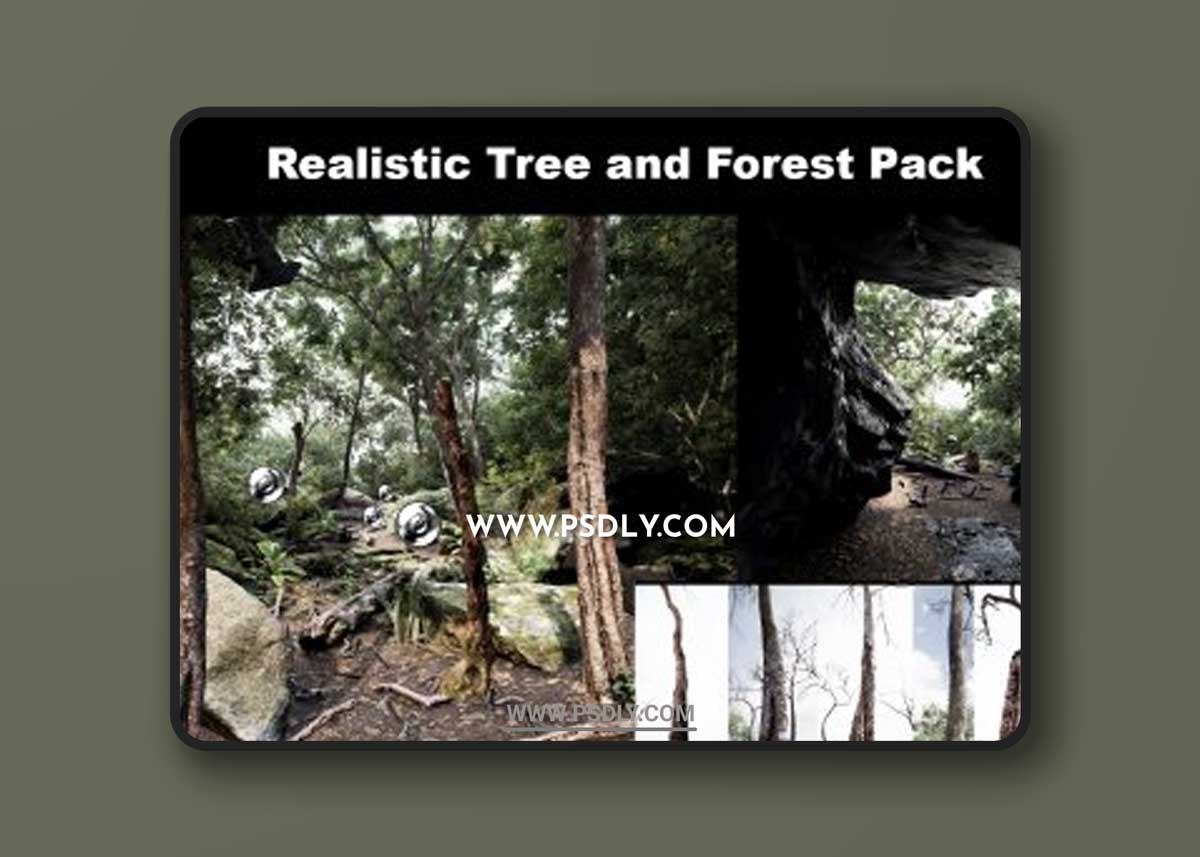 Trees: Realistic Forest Plants Pack 3D Models