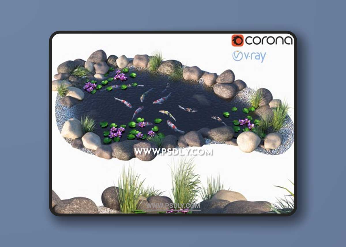 Water - Koi fish 3D Models