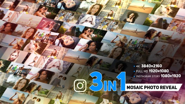 eohive Modern Mosaic Photo Reveal 33909099