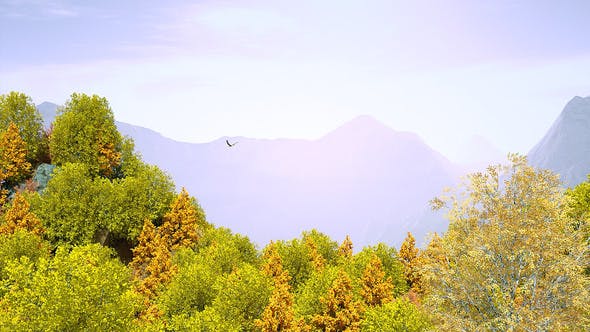 Videohive Autumn Forest Nature Logo 30617950