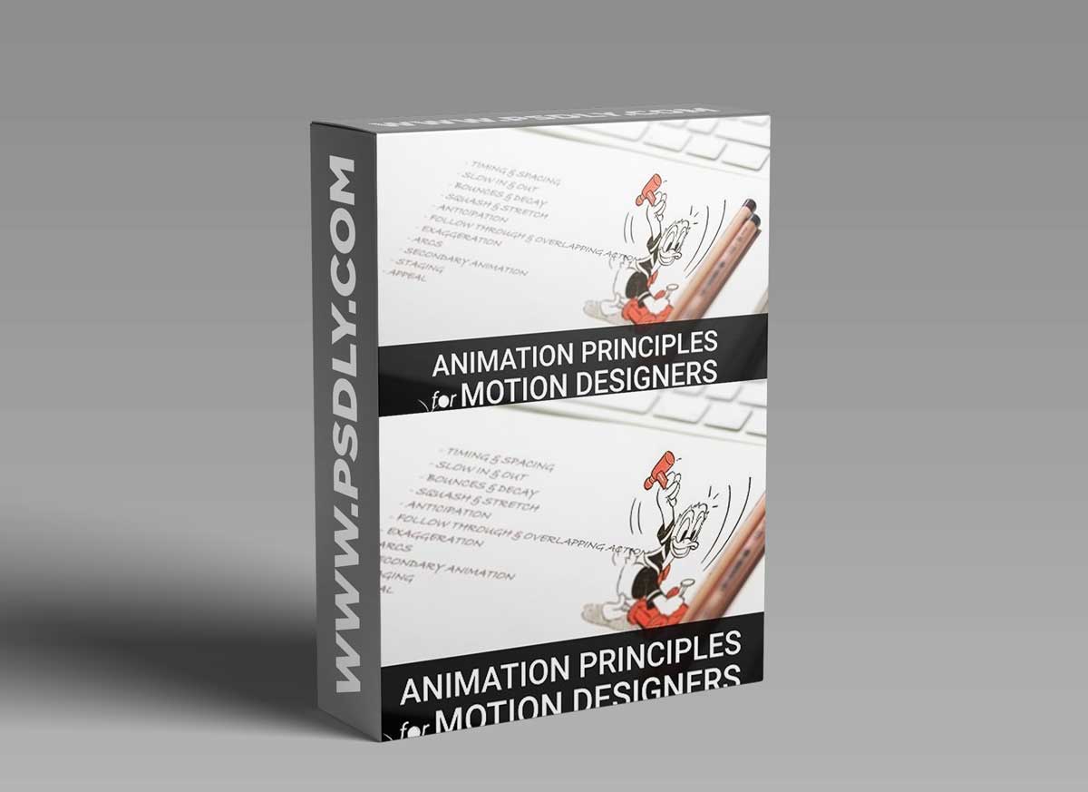 Animation Principles for Motion Designers