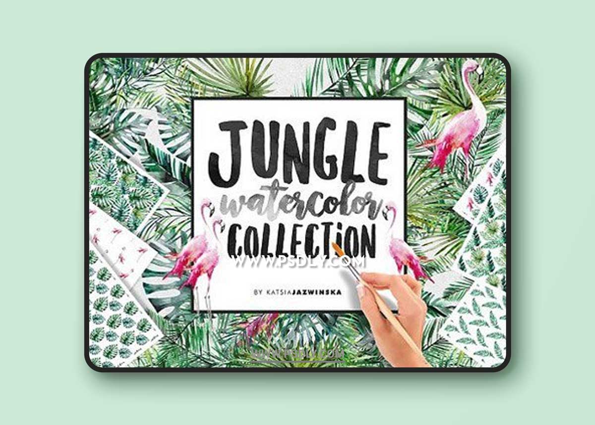 CM - Jungle Watercolor Collection 783075