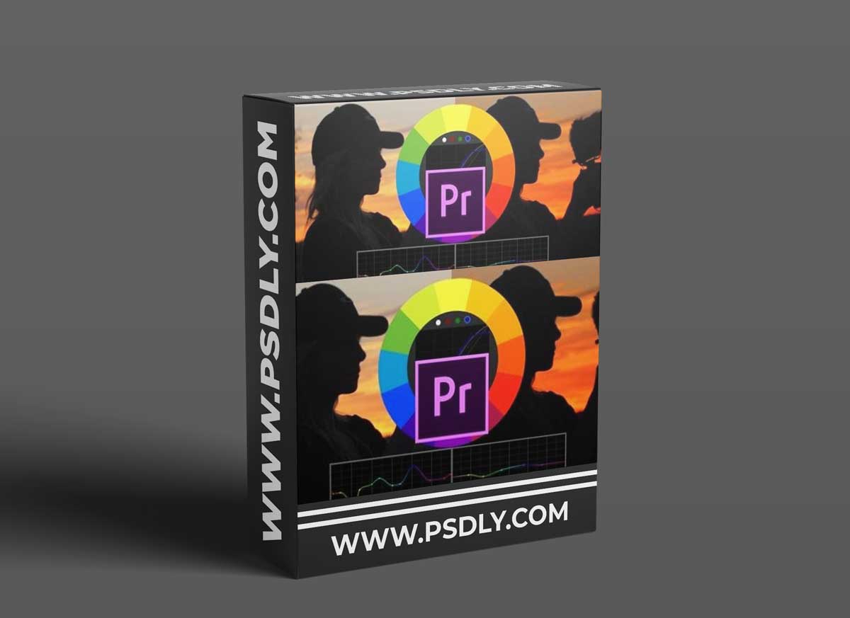 Color Grading & Creating LUTs In Premiere Pro For Beginners