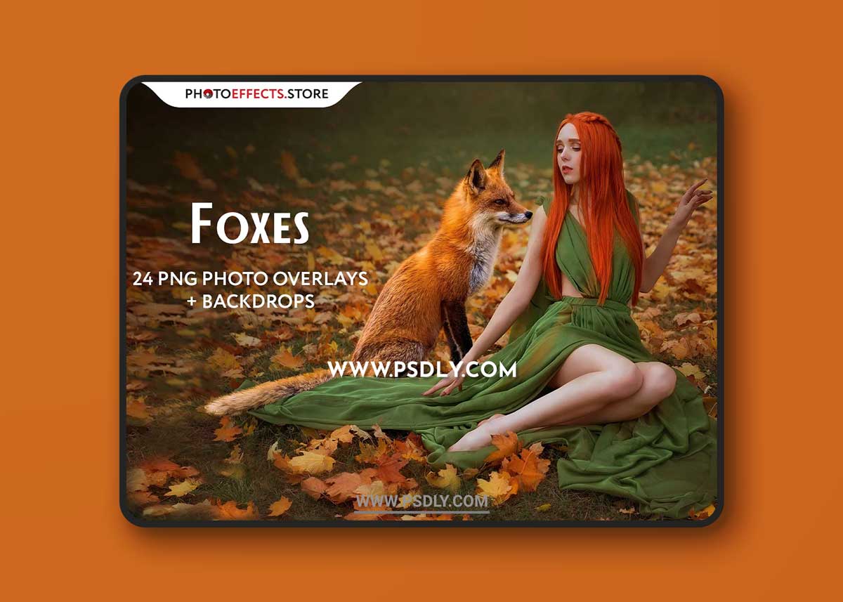 CreativeMarket - 24 Fox Photo Overlays 6477847
