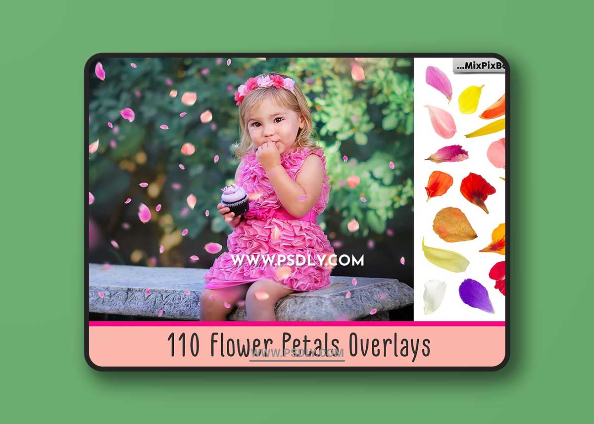 CreativeMarket - Flower Petals Photo Overlays 3399998