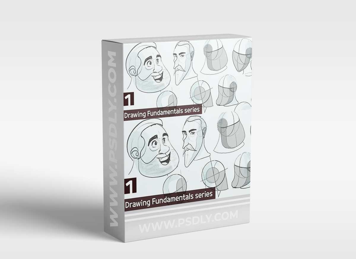 Drawing Fundamentals : how to draw the Human head !