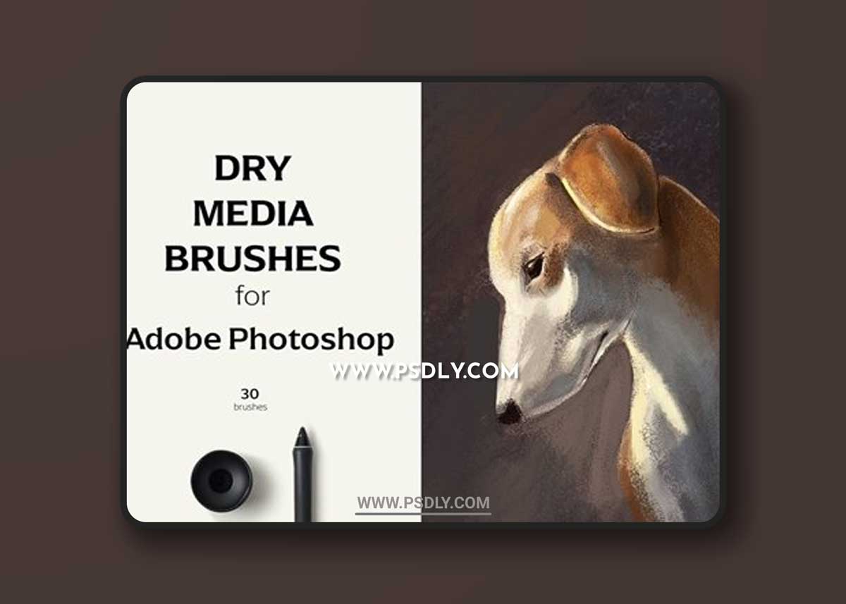 Dry Media Brushes - PS