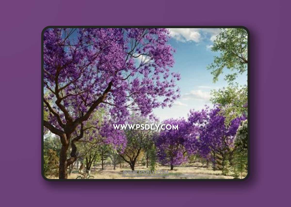 Globe Plants – Bundle 08 – Oceania Trees