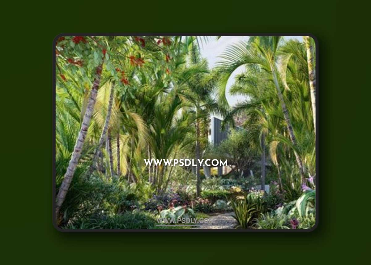 Globe Plants – Bundle 32 Brazilian Home & Garden Plants