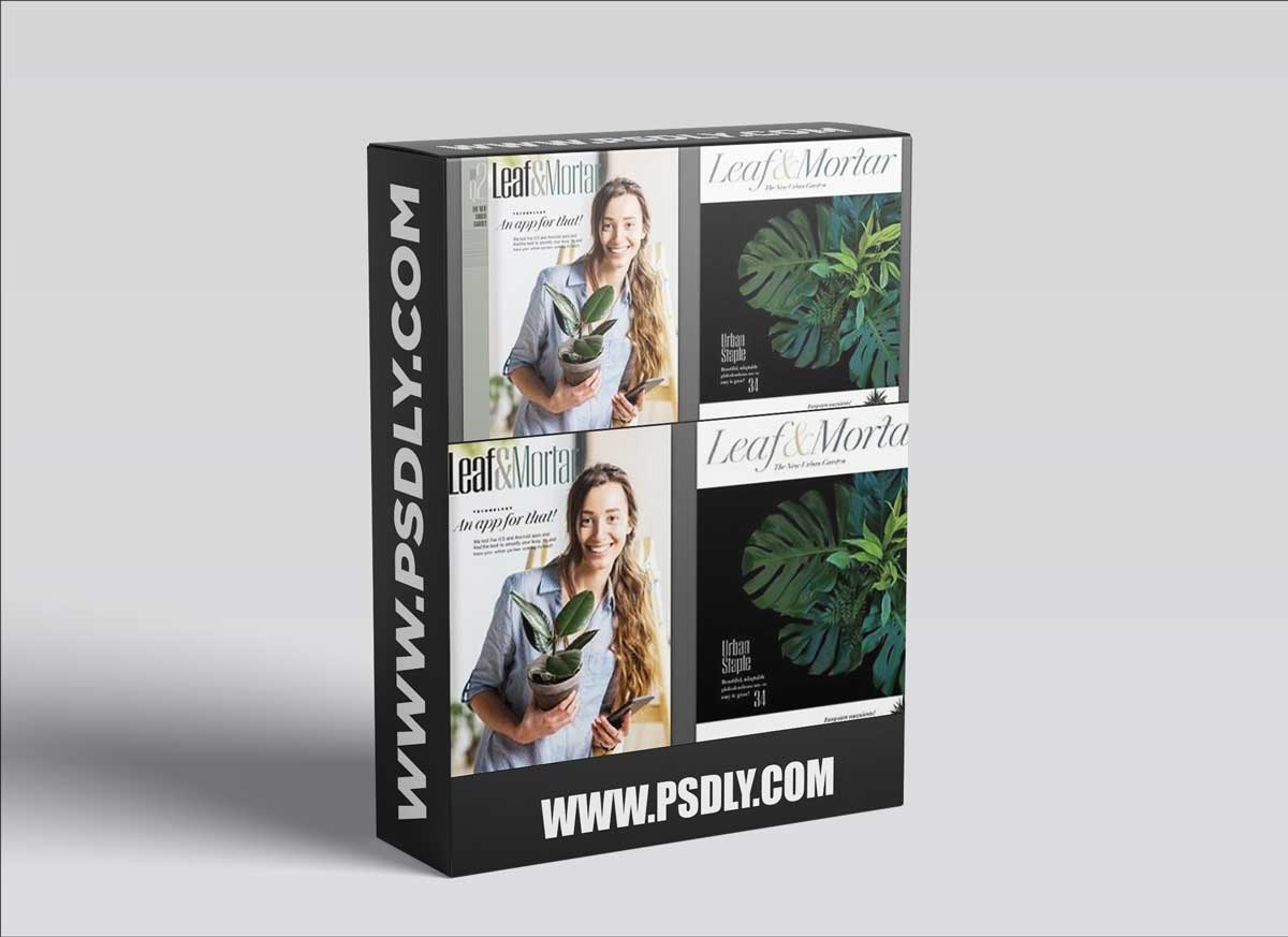 Magazine Design Start to Finish: The Cover