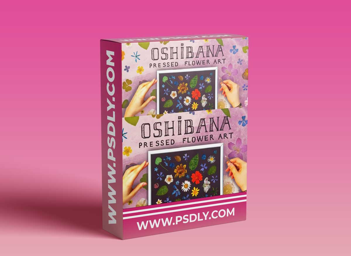 Making Art with Flowers: 3 Pressed Flower Design Options