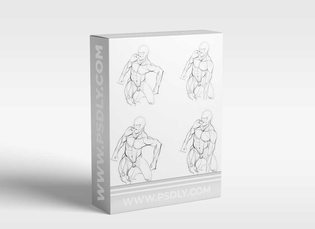 PROKO - Anatomy of the Human Body for Artists: The Basics