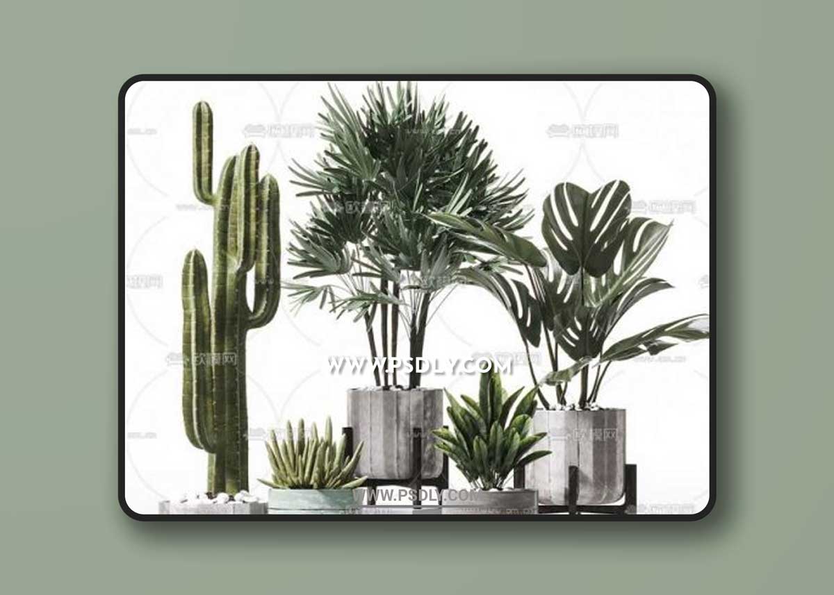 Plants Collection 57 3D Models