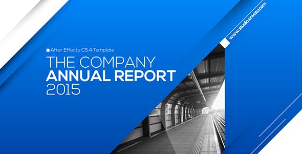 Videohive Annual Report Multipurpose 13300008