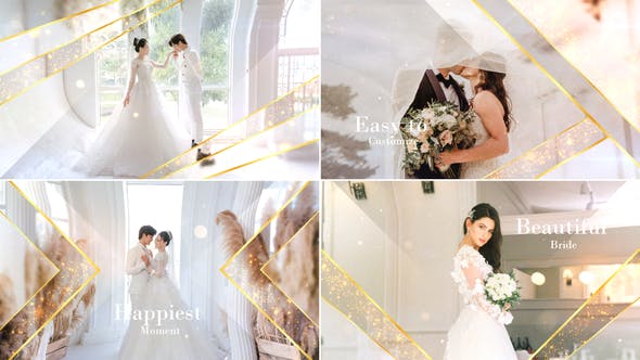 Videohive Elegant Particle Wedding Slideshow 31687220