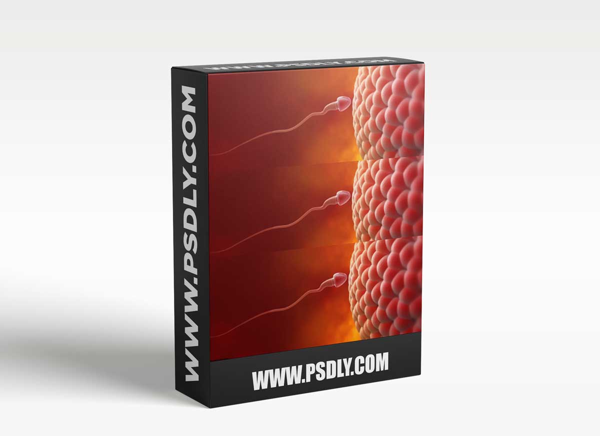 Reproductive Biology