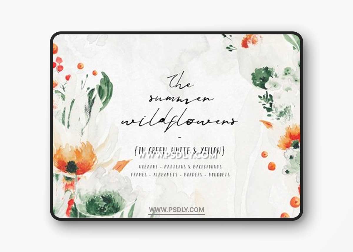 Summer Wildflowers Illustration Pack
