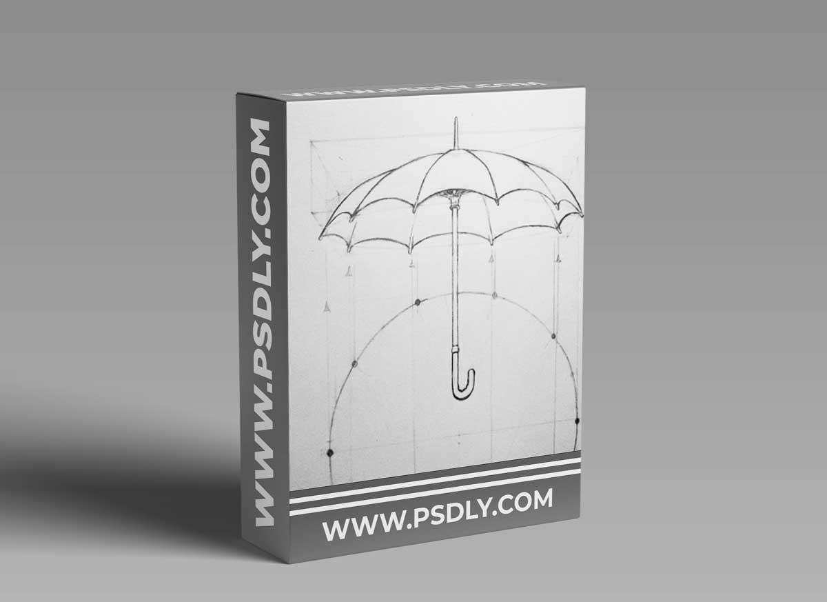 The Power of Line, The Foundation of 2D and 3D Shapes