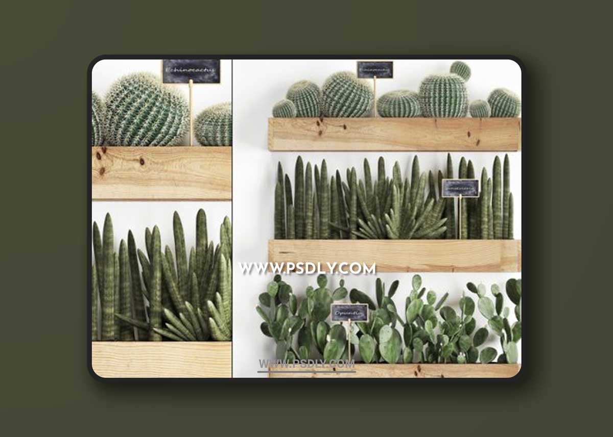 Vertical gardening. 42 3D Models