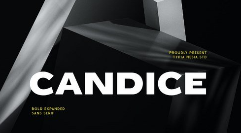Candice - Heavy Bold Expanded Display Game Sans