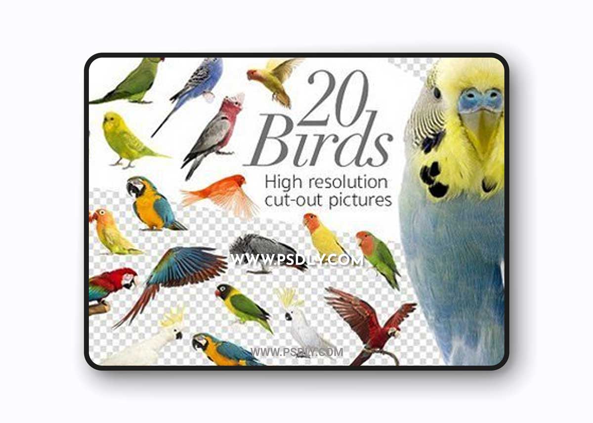 CM - 20 Birds - Cut-out High Res Pictures 1353076
