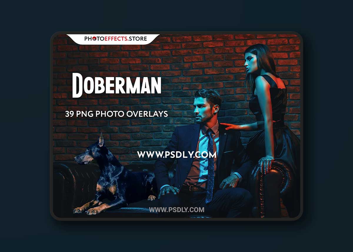 CreativeMarket - 39 Doberman Photo Overlays 6652849