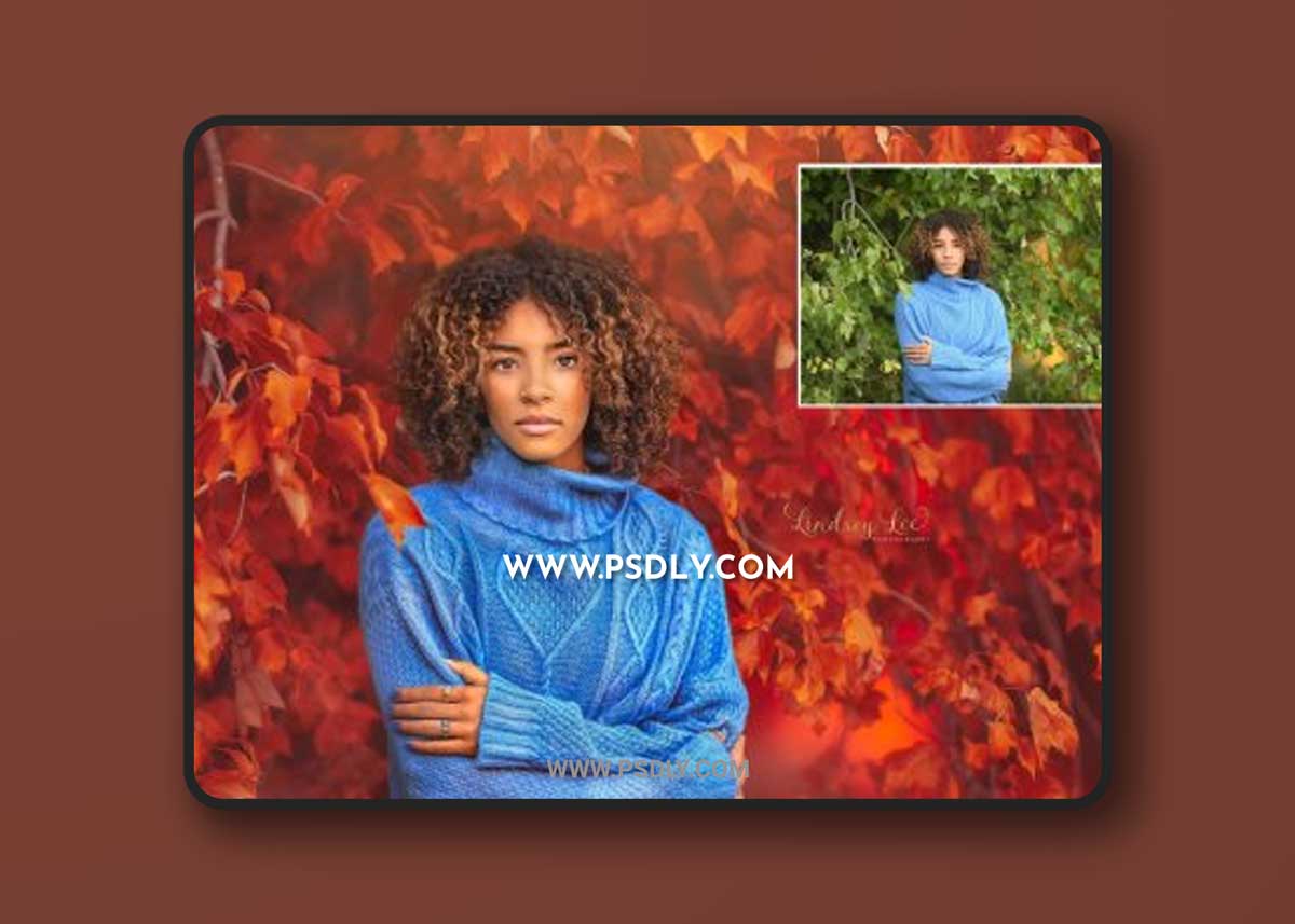 Finding North - Autumn Actions Set